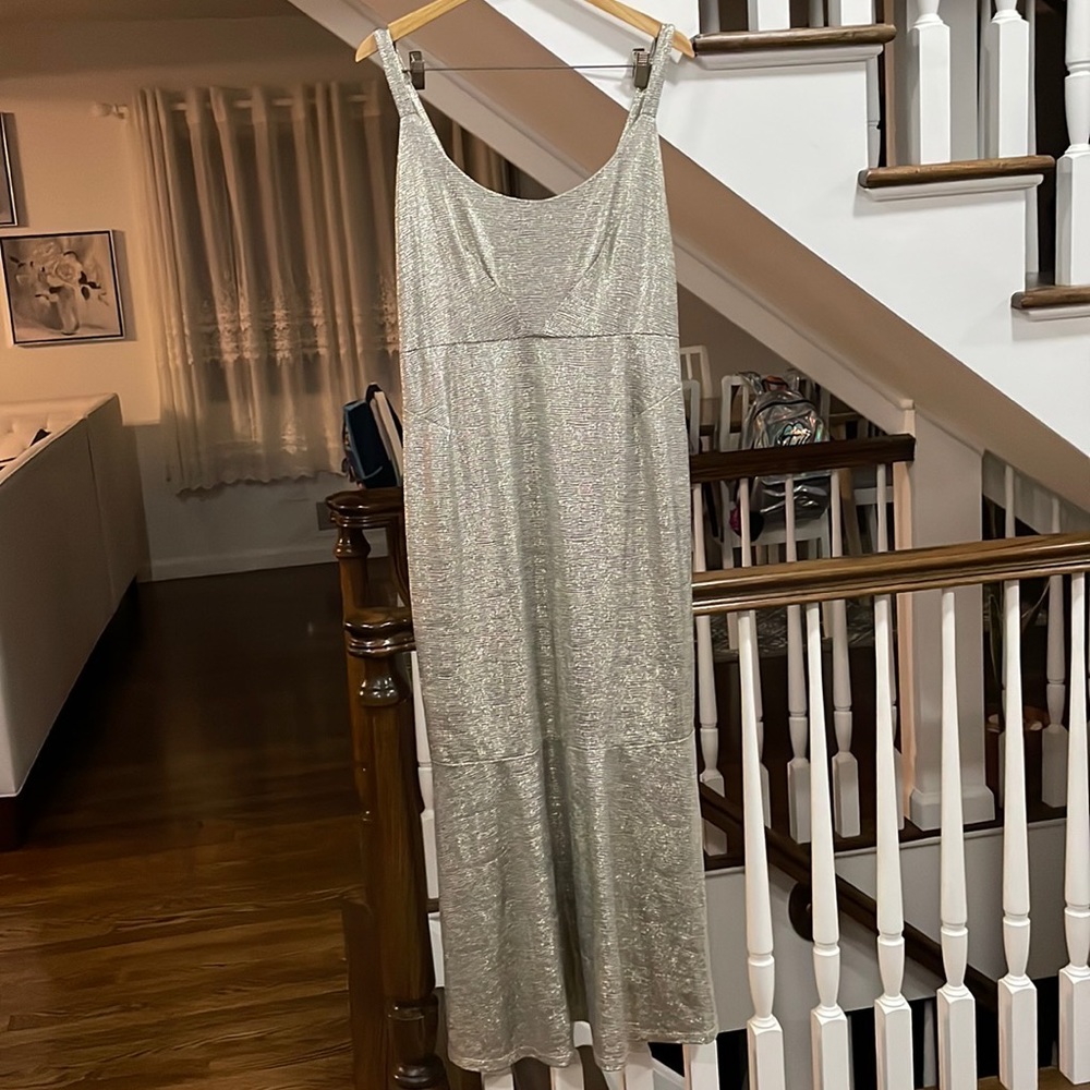 Hutch Silver Maxi Dress
